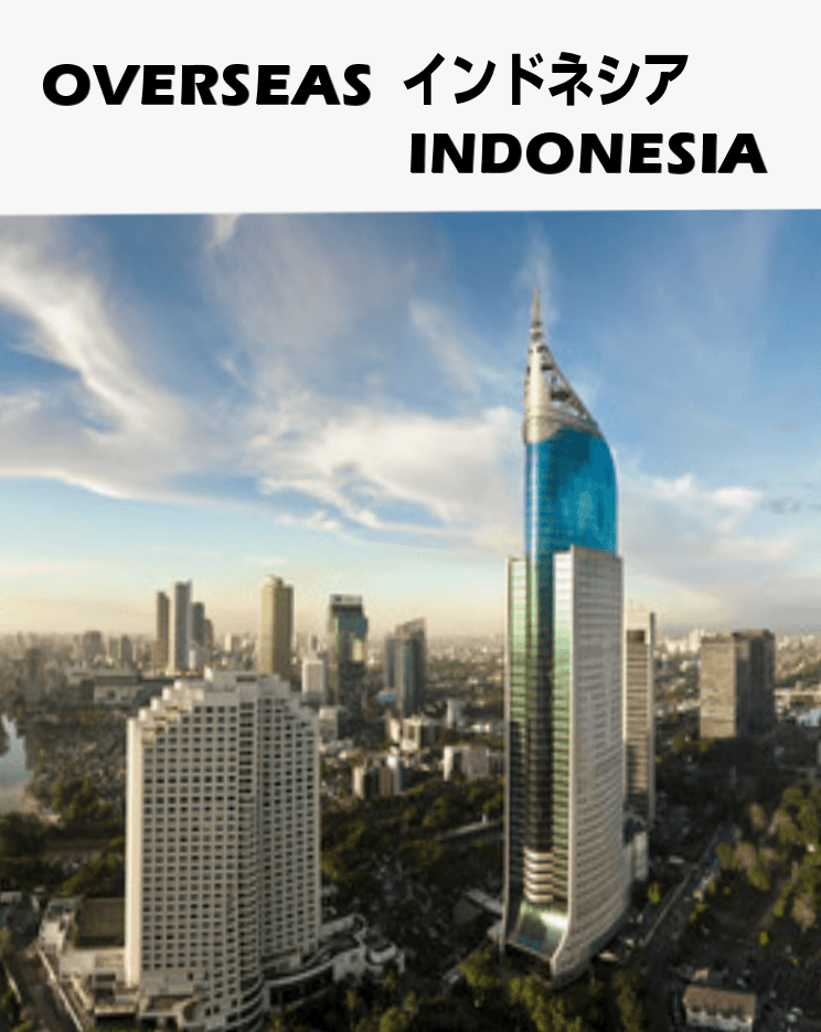 Overseas locations Indonesia #002011 ■Direct license sales price ■ 2 users ￥210,000.-～