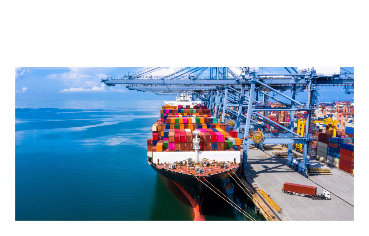 輸出入+現地国内販売+DX+AI TradeERP　/　#110055　/　■ライセンス直販価格■　/　2ユーザー￥210,000.-～
