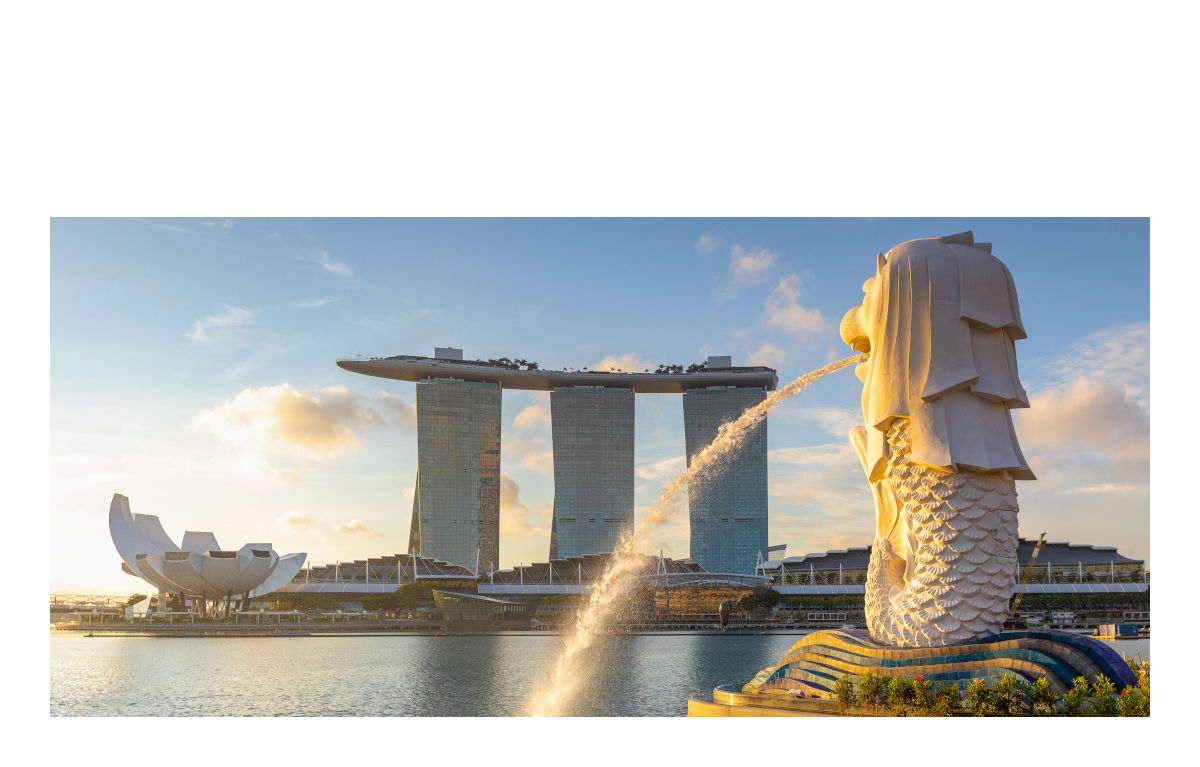 SINGAPORE　輸出入+現地国内販売+DX　/　#110101　/　■ライセンス直販価格■　/　２ユーザー￥210,000.-～