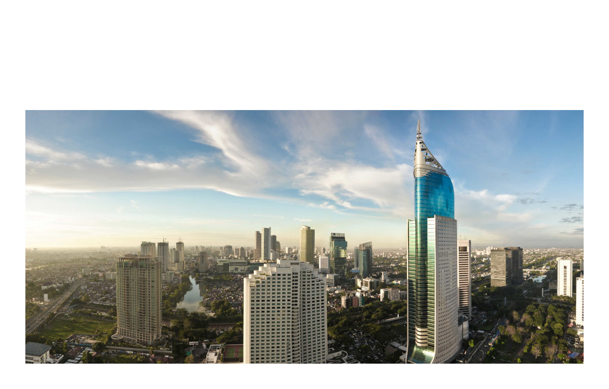 INDONESIA　輸出入+現地国内販売+DX　/　#110102　/　■ライセンス直販価格■　/　２ユーザー￥210,000.-～