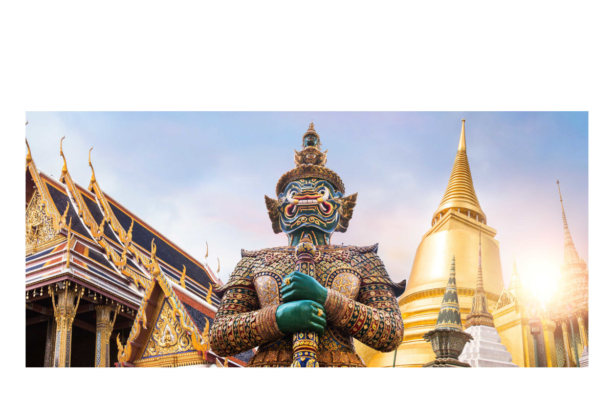 THAILAND　輸出入+現地国内販売+DX　/　#110103　/　■ライセンス直販価格■　/　２ユーザー￥210,000.-～