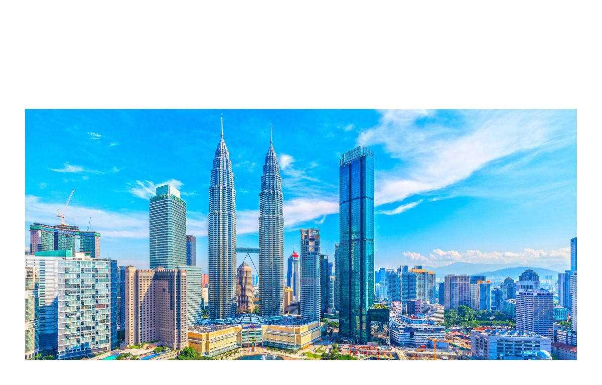 MALAYSIA　輸出入+現地国内販売+DX　/　#110104　/　■ライセンス直販価格■　/　２ユーザー￥210,000.-～