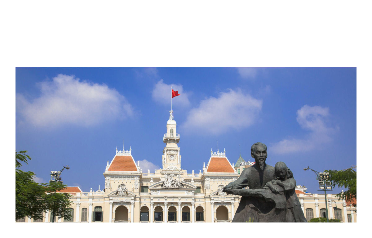 VIETNAM　輸出入+現地国内販売+DX　/　#110106　/　■ライセンス直販価格■　/　２ユーザー￥210,000.-～