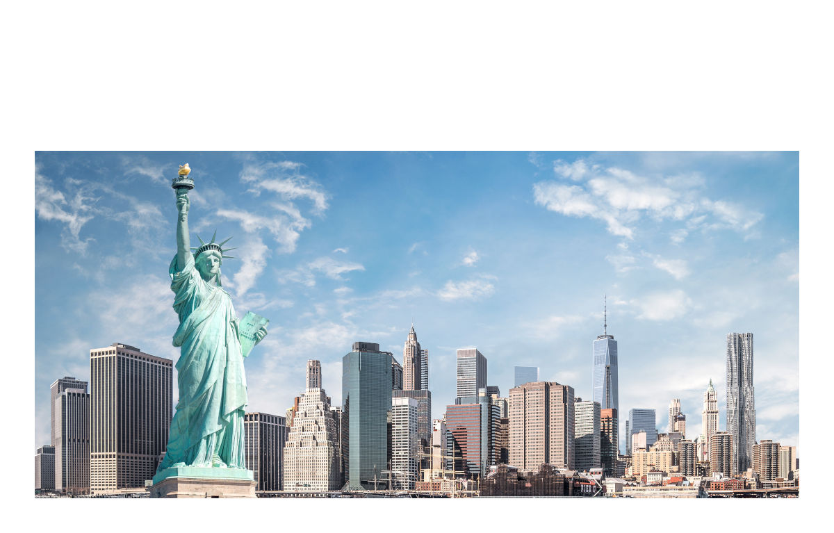 AMERICA　輸出入+現地国内販売+DX　/　#110108　/　■ライセンス直販価格■　/　２ユーザー￥210,000.-～